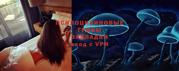 ГАЛЛЮЦИНОГЕННЫЕ ГРИБЫ Алексин